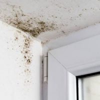 Cursus technisch advies en woningisolatie - Onze Joost