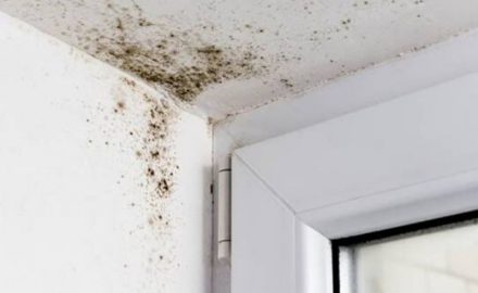 Cursus technisch advies en woningisolatie - Onze Joost
